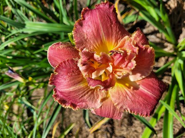 Outrageous Fortune